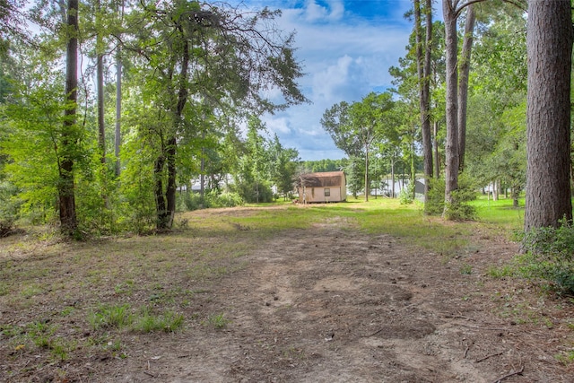 163 Deerwood Trl, Trinity, TX 75862 - photo 8