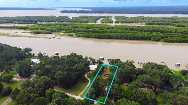 163 Deerwood Trl, Trinity, TX 75862 - photo 6