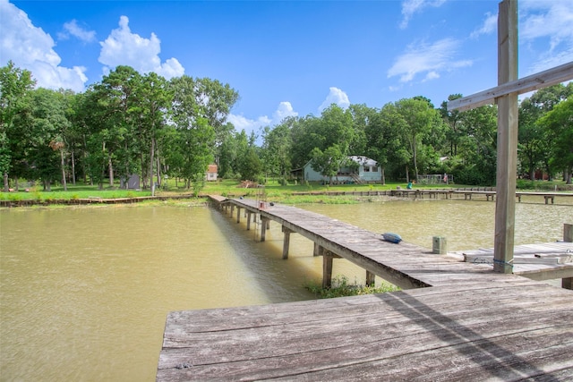 163 Deerwood Trl, Trinity, TX 75862 - photo 21