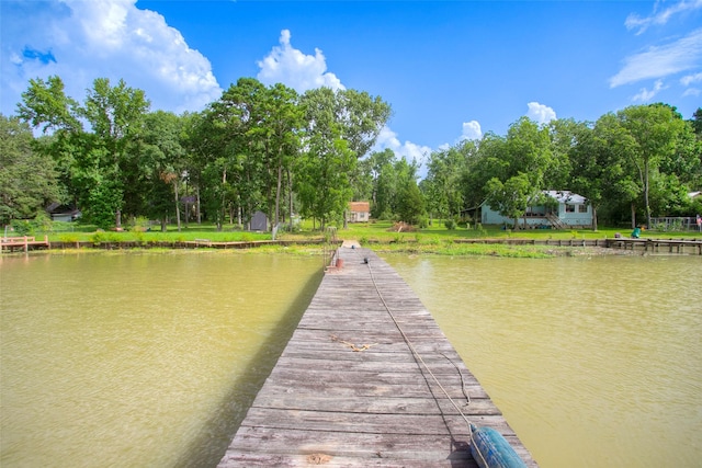 163 Deerwood Trl, Trinity, TX 75862 - photo 23