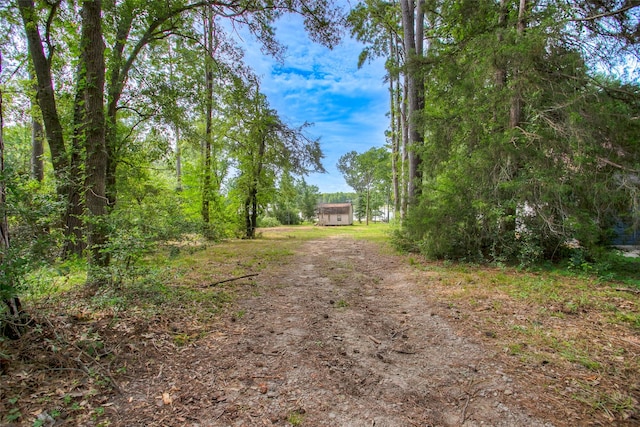 163 Deerwood Trl, Trinity, TX 75862 - photo 26