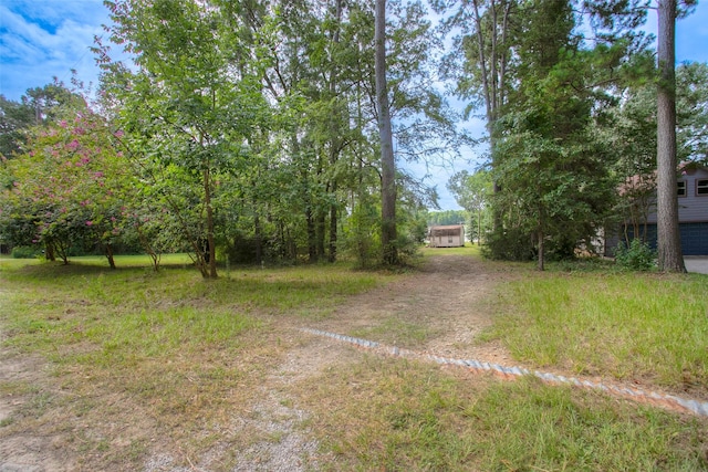 163 Deerwood Trl, Trinity, TX 75862 - photo 27