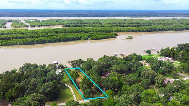 163 Deerwood Trl, Trinity, TX 75862 - photo 30