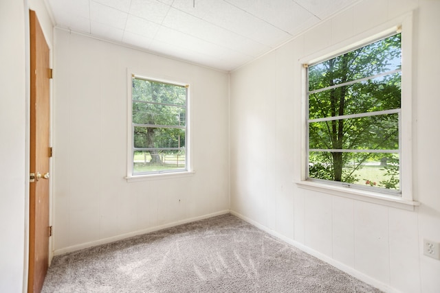 423 Pouland St, Zavalla, TX 75980 - spare room featuring healthy amount of natural light, carpet, and a decorative wall