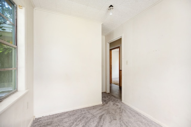 423 Pouland St, Zavalla, TX 75980 - unfurnished room with carpet flooring and crown molding
