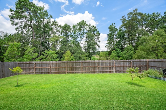 3447 Warwick River Trl, Kingwood, TX 77365 - view of yard