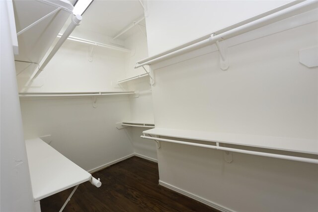 8303 Kelsey Pass, Missouri City, TX 77459 - photo 21