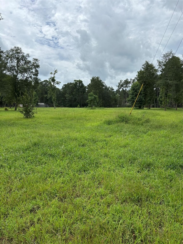 1263 Old Providence Rd, Livingston, TX 77351