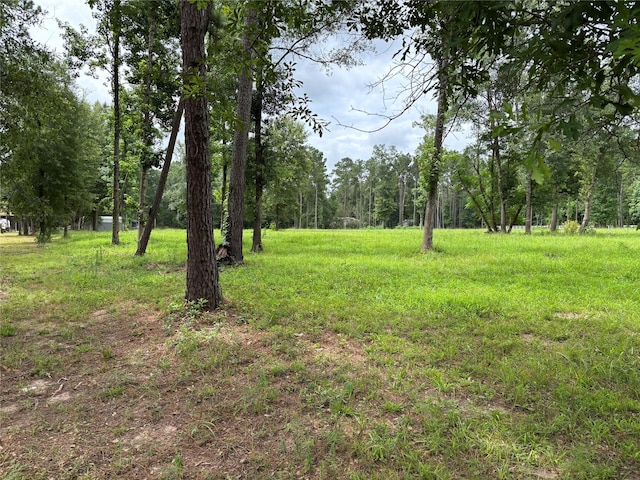 1263 Old Providence Rd, Livingston, TX 77351