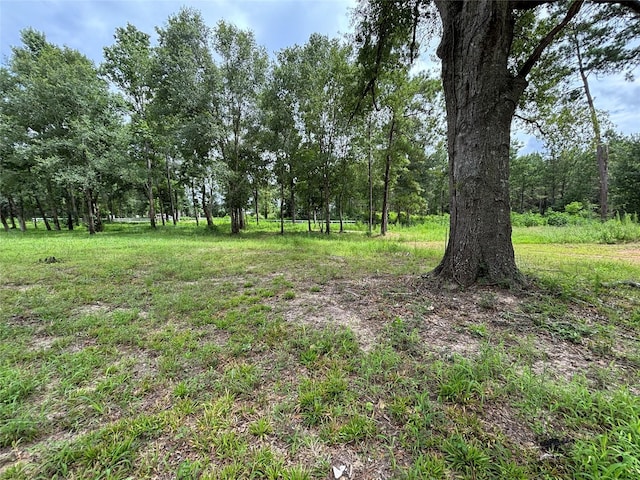 1263 Old Providence Rd, Livingston, TX 77351