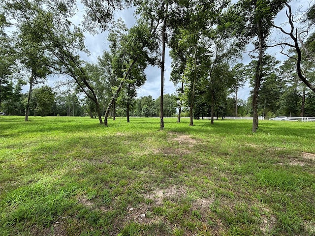 1263 Old Providence Rd, Livingston, TX 77351