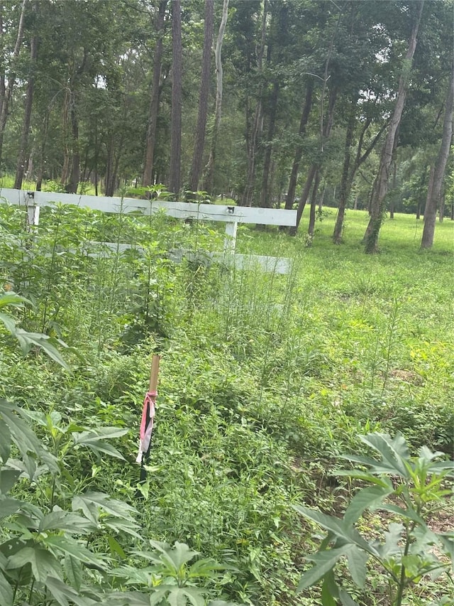 1263 Old Providence Rd, Livingston, TX 77351