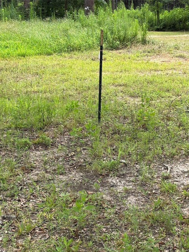 1263 Old Providence Rd, Livingston, TX 77351