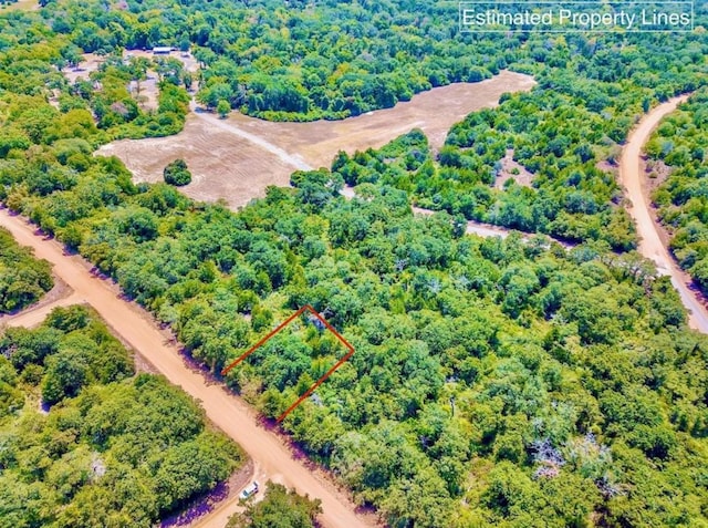 TBD Briar Patch Ln, Hilltop Lakes, TX 77871