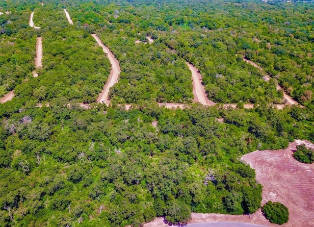 TBD Briar Patch Ln, Hilltop Lakes, TX 77871