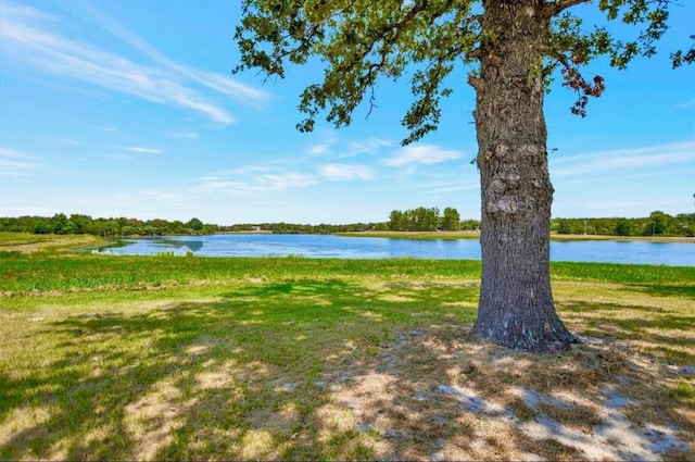 TBD Briar Patch Ln, Hilltop Lakes, TX 77871