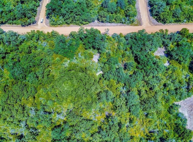 TBD Briar Patch Ln, Hilltop Lakes, TX 77871
