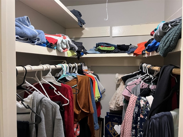 8823 Shadow Crest St, Houston, TX 77074 - view of walk in closet