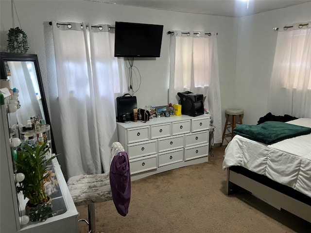 8823 Shadow Crest St, Houston, TX 77074 - view of carpeted bedroom