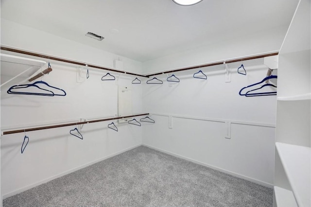 10531 Oleander Point Dr, Houston, TX 77095 - spacious closet with carpet floors