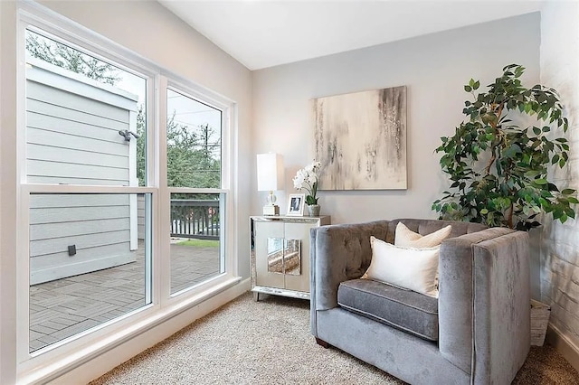 3406 Yoakum Blvd, Houston, TX 77006 - sitting room featuring carpet