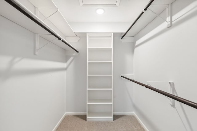 506 Fox Briar Ln, Sugar Land, TX 77478 - spacious closet featuring carpet floors