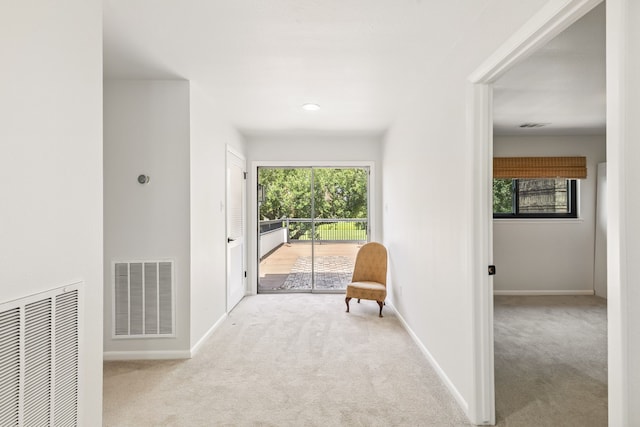 506 Fox Briar Ln, Sugar Land, TX 77478 - hallway with carpet