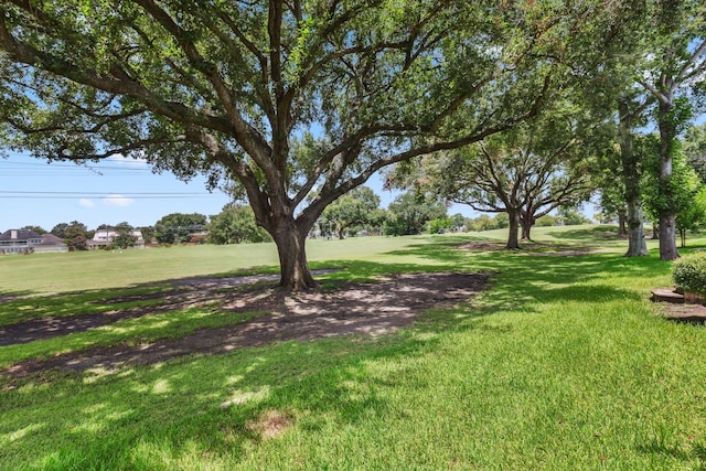 506 Fox Briar Ln, Sugar Land, TX 77478 - view of grassy yard