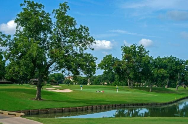 506 Fox Briar Ln, Sugar Land, TX 77478 - view of property's community featuring a water view, golf course view, and a yard