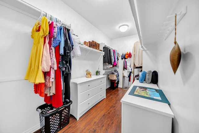 12702 Eagle Ledge Ln, Tomball, TX 77377 - spacious closet with wood finished floors
