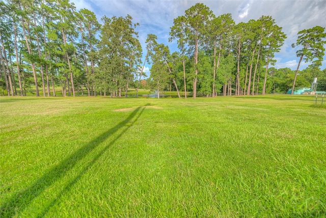185 Idlewilde Dr, Onalaska, TX 77360 - photo 18