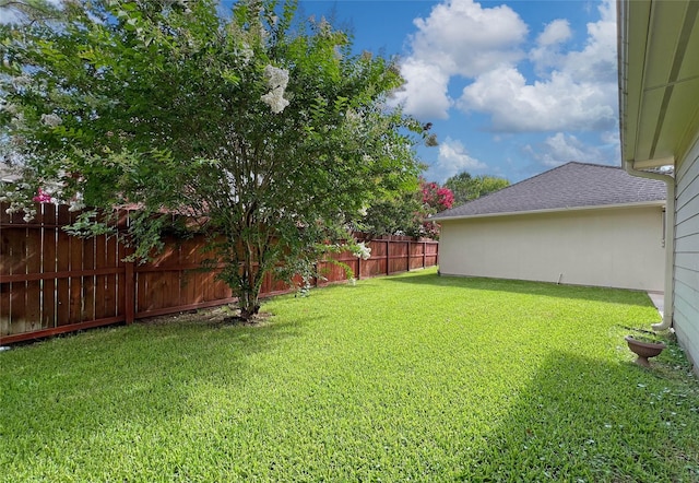5403 Winlock Trace Ct, Katy, TX 77450 - view of yard
