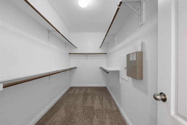 20123 Cascading Falls Blvd, Cypress, TX 77433 - walk in closet with carpet floors