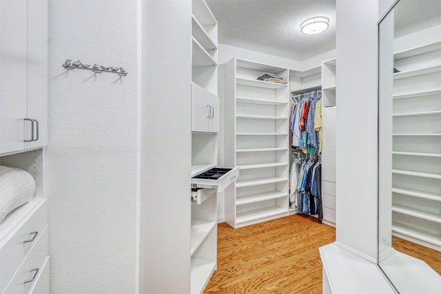 22806 Rachels Manor Dr, Katy, TX 77494 - walk in closet with light wood-style flooring