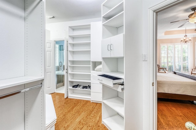 22806 Rachels Manor Dr, Katy, TX 77494 - spacious closet with light wood-type flooring, a chandelier, and a ceiling fan