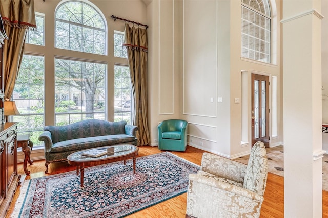 22806 Rachels Manor Dr, Katy, TX 77494 - living area with a high ceiling and wood finished floors