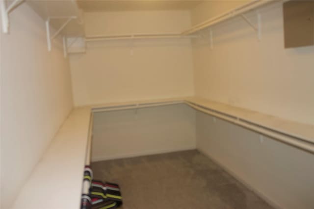 26350 Riley Glen Dr, Richmond, TX 77406 - walk in closet with carpet floors