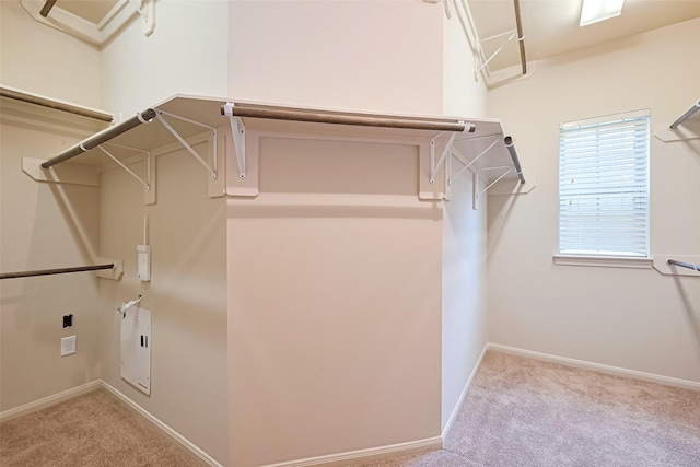 19 Sandwell Pl, Spring, TX 77389 - photo 28