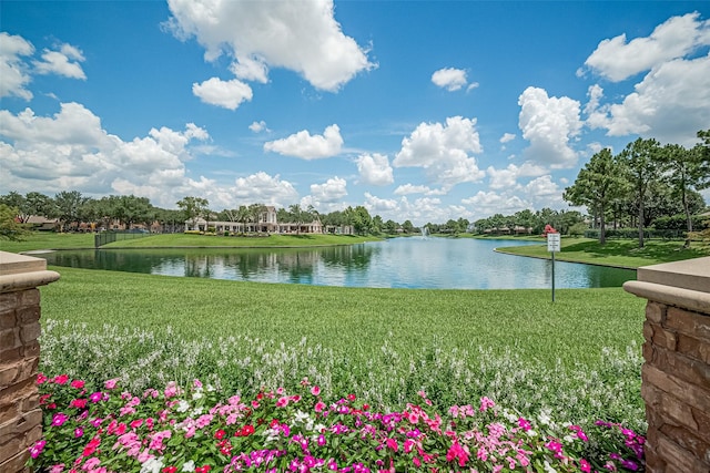 6507 Pinewood Trace Ln, Houston, TX 77041 - water view