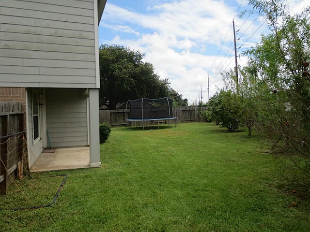 22303 Bridgestone Ridge Dr, Spring, TX 77388 - fenced backyard featuring a trampoline