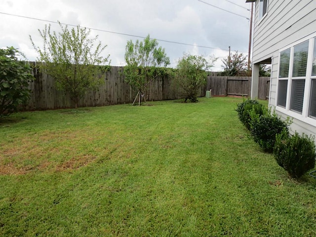 22303 Bridgestone Ridge Dr, Spring, TX 77388 - view of fenced backyard