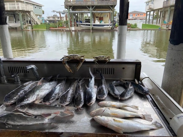 23002 Vida, Galveston, TX 77554 - dock area featuring a water view