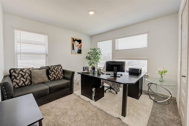 29918 Reagans Ranch Dr, Katy, TX 77494 - office area with light colored carpet