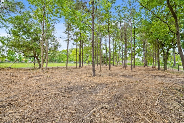 5031 Hartwick Rd, Houston, TX 77093 - photo 8