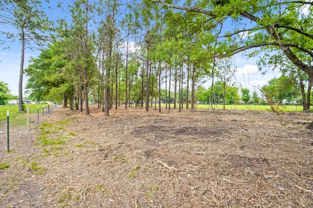 5031 Hartwick Rd, Houston, TX 77093 - photo 9