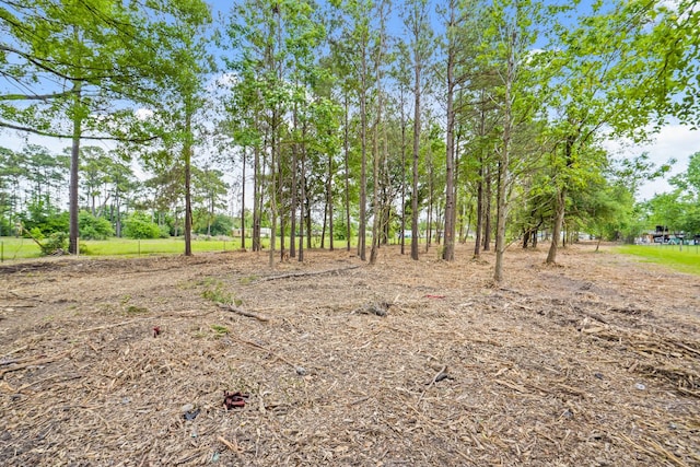 5031 Hartwick Rd, Houston, TX 77093 - photo 10
