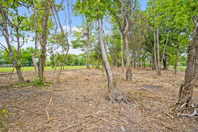 5031 Hartwick Rd, Houston, TX 77093 - photo 11