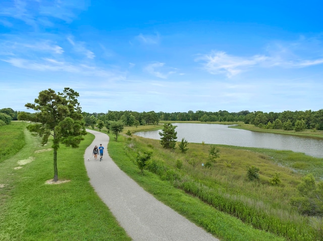 2707 Wollemi Pine Trl, Katy, TX 77493 - surrounding community with a water view and gravel driveway