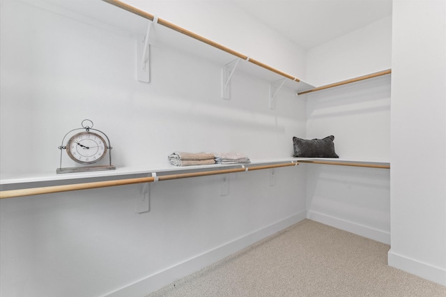 8302 Springwood Canyon Ln, Houston, TX 77055 - walk in closet with light colored carpet