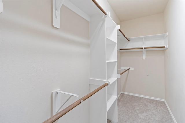 23307 W Pine Ivy Ln, Tomball, TX 77375 - walk in closet featuring light colored carpet